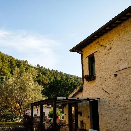 La Tana Del Riccio-2