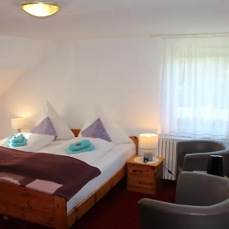 Romantic-Pension Albrecht - Villa Next To Unesco World Heritage - Since 1901-2
