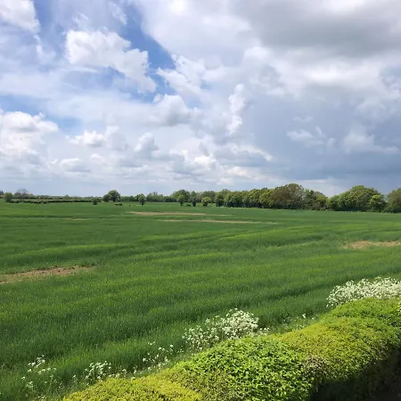 Acreland Green-2