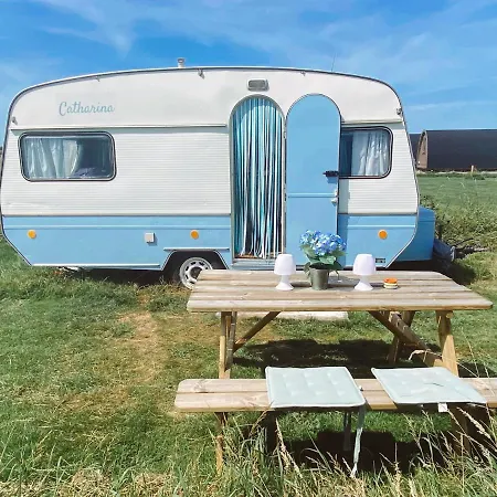 Het Caravannetje B&B - retro glamping-2