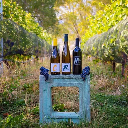 Crowsnest Vineyards Guesthouse-2