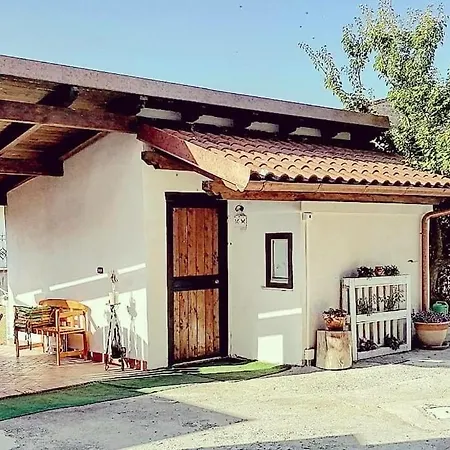 Butterfly B&B-2