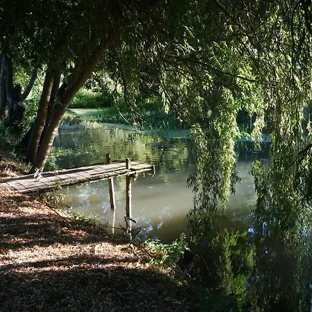 Le Moulin de Moquesouris-3