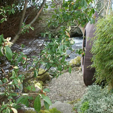Talybont Bed And Breakfast-2