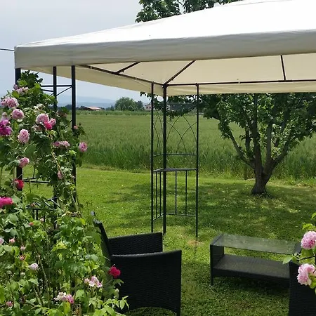 B&B Le Rose-2
