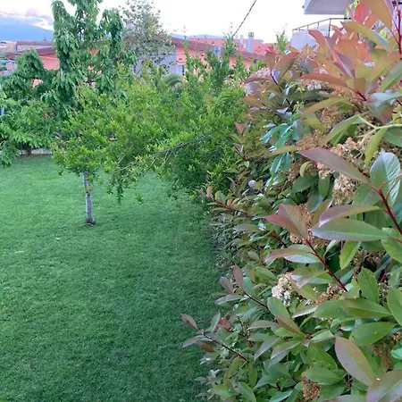 B&B The Garden-2