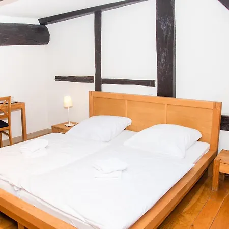 Alte Windmühle - Hotel Garni-3