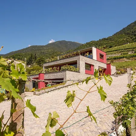 Nebbiolo Wine B&B-2
