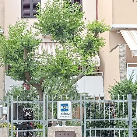 La Mimosa-2