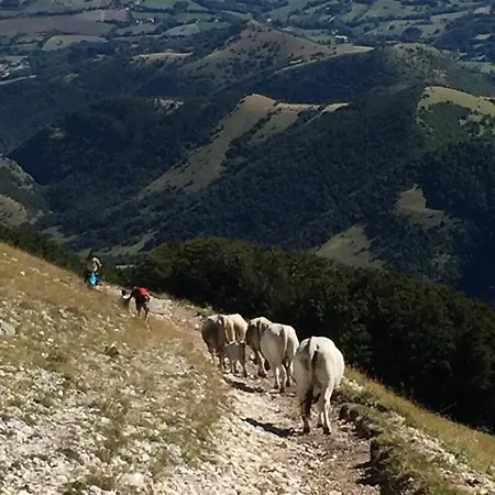 B&B Monte Acuto-2