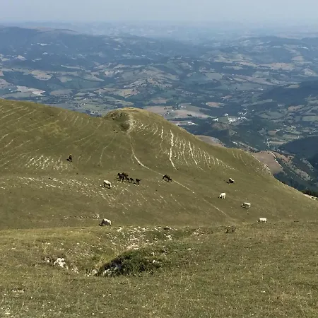 B&B Monte Acuto-3