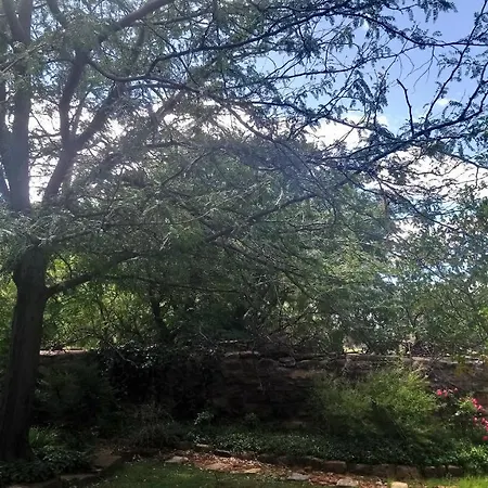 Black Cottage-3