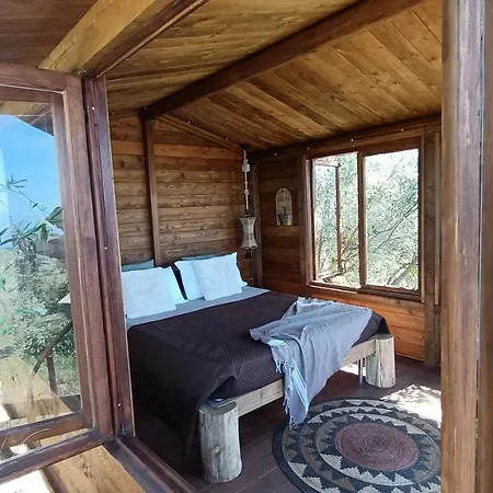 The Treehouse - Casa sull'albero al Golden Camp-3