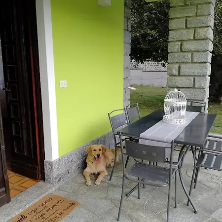 Il Faggio-2