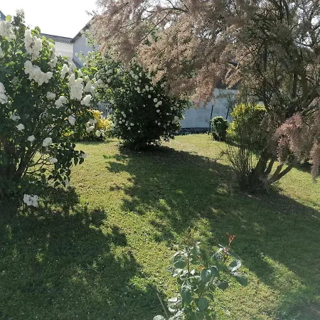 Chez Nicole-2