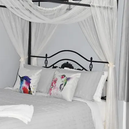 Seabank House Bed And Breakfast Hummingbird-3
