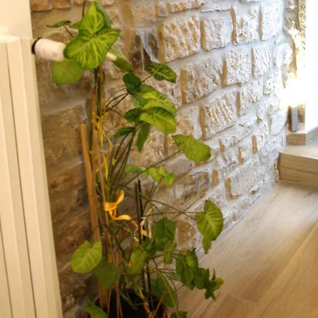 Il Casale del Borgo-2