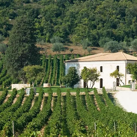 San Calisto camere con vigna-2