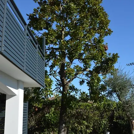 B&B Fior di Magnolia-2