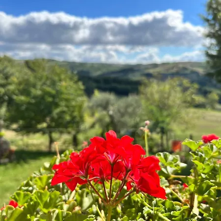 Campo della Corte-2
