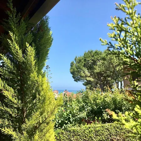 Alloro Marino-2
