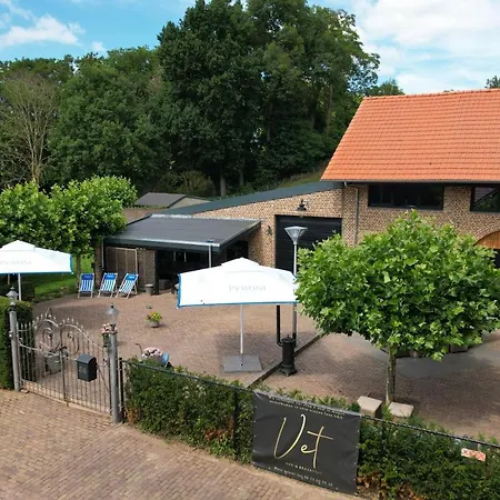 Vet - Bed & Breakfast-3
