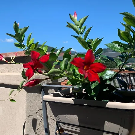 Piccola Dimora B&B-2