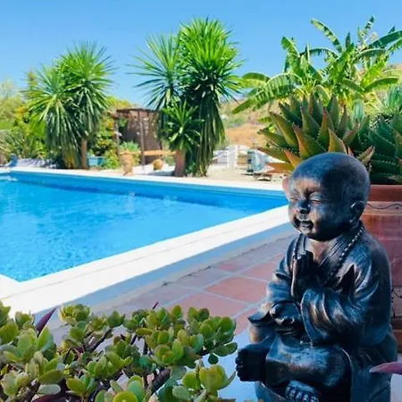 Finca Del Gecko-3