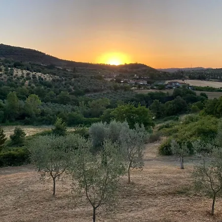 Casale MilleSoli-3