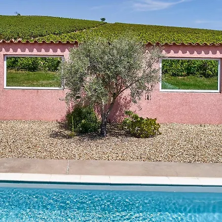 Les Glycines - Domaine Gilles Coperet-3