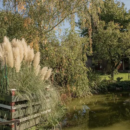 B&B Ben in Broek-2