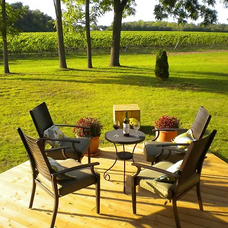 Vineyard Villa-2