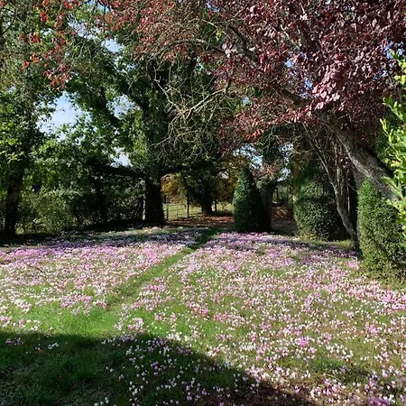Domaine de Préfond-3