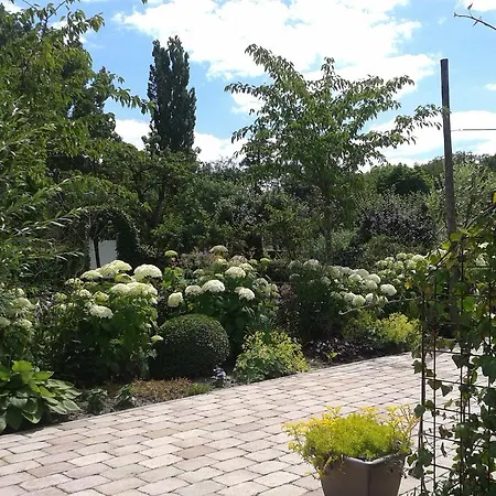 Bed And Breakfast Rodenberg-3
