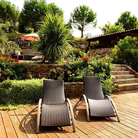 Chambres d'hôtes - Villa CARPE DIEM TOLOSA-2