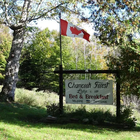 Chamcook Forest Lodge Bed & Breakfast-3
