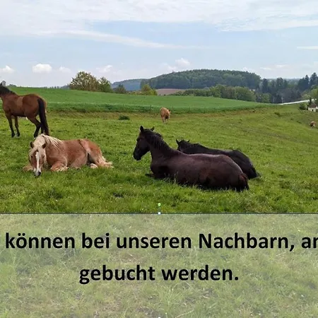 Ursteirerhof - Familie Kerschbaumer-3