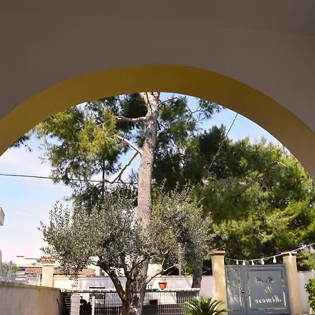 Le Mimose-3