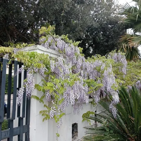 A Casa Di Gio-3