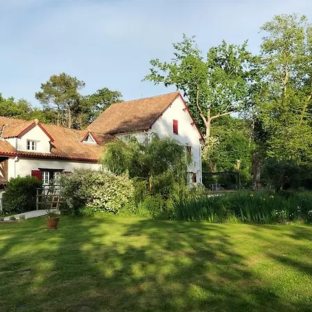 Le Moulin De Saubrigues-3