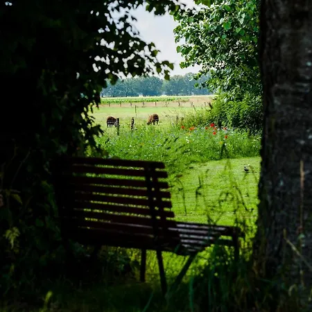 B&B Grevenberg-2