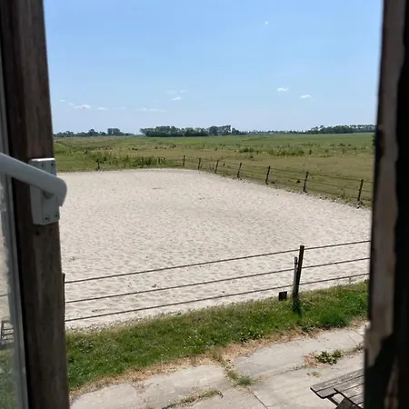 The Horse Farm-3