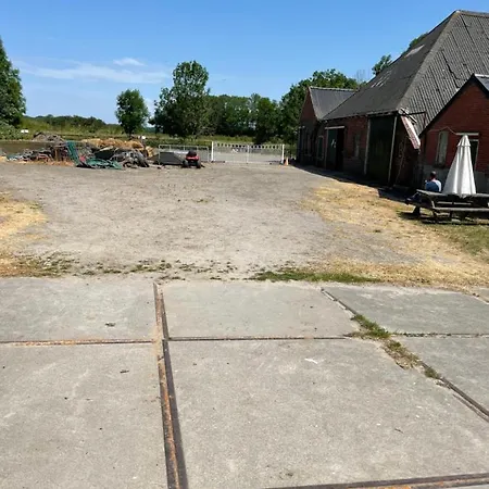 The Horse Farm-2