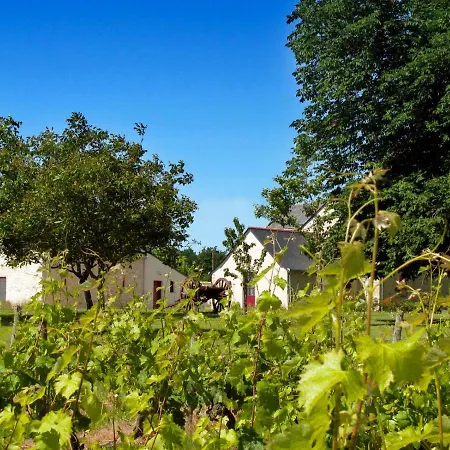 Le Domaine des Gauliers-3
