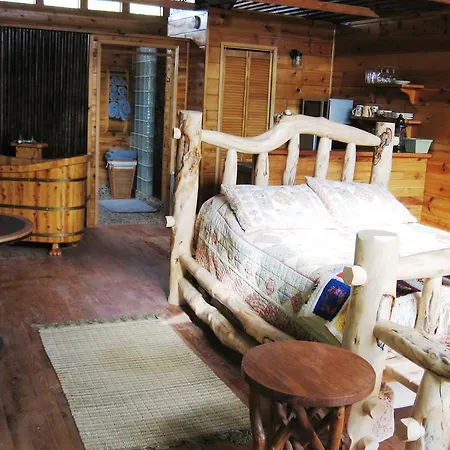 Shady Lady Bed And Breakfast-3