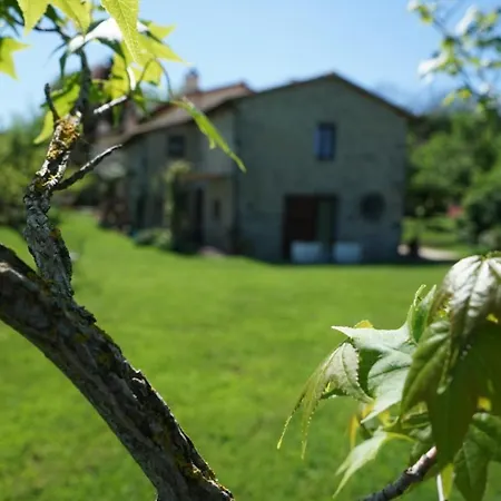 Castagna Dulcis-2