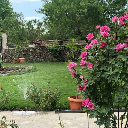 Chez Yvette-2
