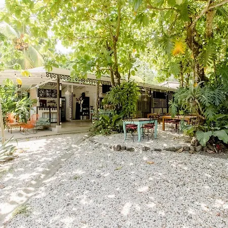 Bajo El Arbol B&B-3