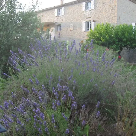 Mas De La Garrigue-2