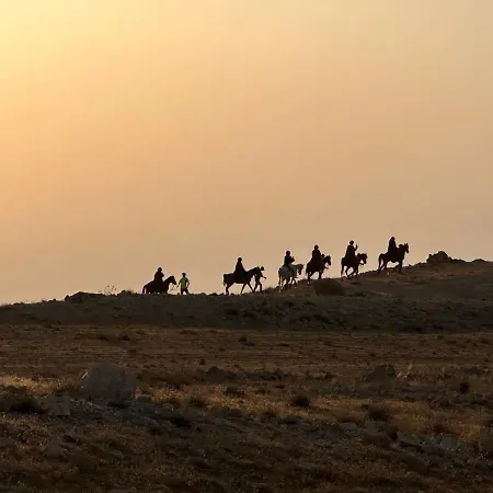 Petra Desert Dream Hotel-2